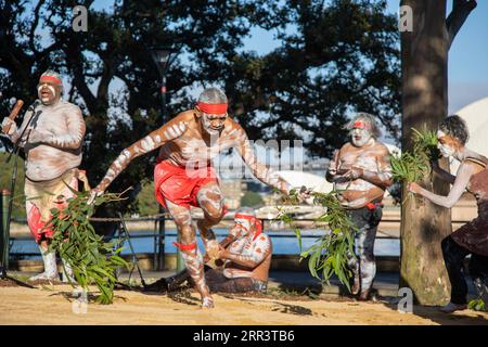 201111 -- SYDNEY, le 11 novembre 2020 -- les aborigènes dansent au port de Sydney, Australie, le 11 novembre 2020. Dimanche, l Australie a lancé une semaine de célébrations reconnaissant l histoire et la culture de ses peuples des Premières Nations, avec pour thème cette année toujours été, sera toujours. Nommée d'après le Comité national d'observance de la Journée des Aborigènes et des Islanders NAIDOC, chaque année la semaine NAIDOC invite tous les Australiens à explorer la riche histoire des premiers habitants du pays à travers des conférences, des films, des spectacles et d'autres événements spéciaux. Photo de /Xinhua AUSTRALIE-SYDNEY-PREMIÈRES NATIONS PEUPLES-HISTOIRE ZhuxHon Banque D'Images