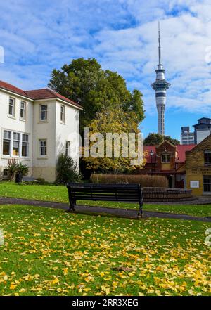 201113 -- AUCKLAND, le 13 novembre 2020 -- une photo prise le 23 juin 2018 montre une vue de la ville d'Auckland, en Nouvelle-Zélande. Auckland, avec une population d'environ 1,5 millions d'habitants, est une ville métropolitaine de l'île du Nord de la Nouvelle-Zélande. CitySketchNEW ZEALAND-AUCKLAND GuoxLei PUBLICATIONxNOTxINxCHN Banque D'Images