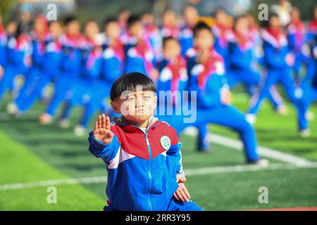 201114 -- PÉKIN, le 14 novembre 2020 -- Luo Junjie pratique le kongfu chinois sur le terrain de jeu d'une école de la ville de Zhushan à Yongzhou, dans la province du Hunan au centre de la Chine, le 10 novembre 2020. PHOTOS XINHUA DU JOUR ChenxZeguo PUBLICATIONxNOTxINxCHN Banque D'Images