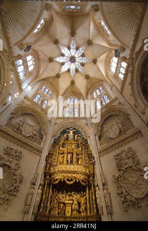 Chapelle de connétable dans la cathédrale de Burgos. Capilla del condestable en la catedral de Burgos Banque D'Images