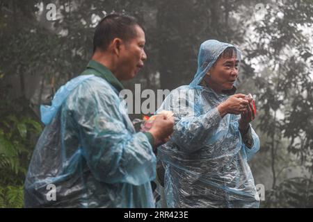 201117 -- HAIKOU, 17 novembre 2020 -- les géomètres Gibbon réapprovisionnent en énergie les forêts tropicales humides de la montagne Bawangling dans la province de Hainan du sud de la Chine, 16 novembre 2020. Connus comme les primates les plus rares au monde, les gibbons de Hainan sont de plus en plus nombreux grâce à un environnement amélioré. Les données les plus récentes du ministère des forêts de la province suggèrent qu il y a 33 gibbons vivant dans cinq familles, une augmentation de la population par trois depuis les années 1970 Les singes à crête noire ne peuvent être trouvés que dans la réserve naturelle nationale de Bawangling sur l'île de Hainan. Ils vivent dans des arbres de forêt tropicale de plus de 10 mètres de haut et se se rarement Banque D'Images