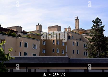 Bloc d'appartements avec des arbres poussant sur les terrasses de toit capturées en vue à faible angle. Banque D'Images