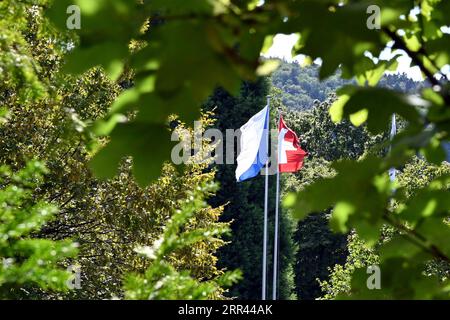 Deux drapeaux du canton de Zurich et de Suisse volant dans le vent entre végétation verte comme fond. Banque D'Images