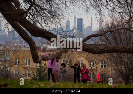 201122 -- NEW YORK, le 22 novembre 2020 -- des enfants jouent sous un arbre au Sunset Park dans le quartier de Brooklyn à New York, aux États-Unis, le 21 novembre 2020. Le nombre total de cas de COVID-19 aux États-Unis a dépassé 12 millions samedi, selon le Center for Systems Science and Engineering CSSE de l’Université Johns Hopkins. Photo de /Xinhua U.S.-NEW YORK-COVID-19-CAS MichaelxNagle PUBLICATIONxNOTxINxCHN Banque D'Images