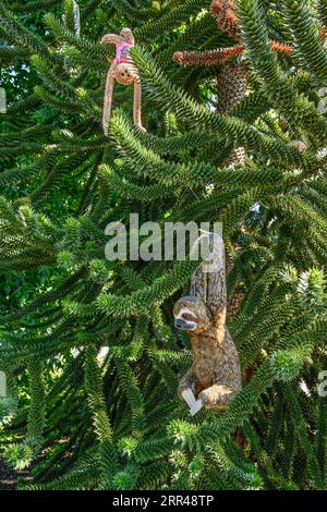 Singes jouets en peluche dans l'arbre de puzzle de singe Banque D'Images