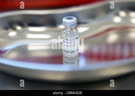 201205 -- MOSCOU, le 5 décembre 2020 -- Un vaccin contre la COVID-19 dégèle sur la table à Moscou, en Russie, le 5 décembre 2020. Le maire de Moscou Sergei Sobianine a annoncé vendredi que la capitale russe avait lancé son programme de vaccination de masse contre le coronavirus. Les travailleurs médicaux, les enseignants et les employés des services sociaux seront les premiers à recevoir les vaccins, car ils appartiennent aux groupes les plus vulnérables, et plus de 5 000 personnes se sont déjà inscrites pour la vaccination, a déclaré Sobianin sur son blog. Photo de /Xinhua RUSSIE-MOSCOU-COVID-19-VACCIN AlexanderxZemlianichenkoxJr PUBLICATIONxNOTxINxCHN Banque D'Images