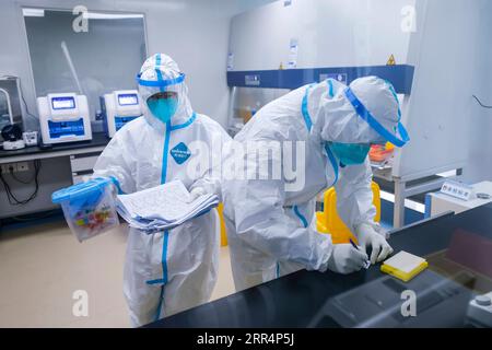 201210 -- CHENGDU, 10 décembre 2020 -- des membres du personnel médical traitent des échantillons prélevés pour les tests COVID-19 dans un laboratoire de tests d'acides nucléiques de l'hôpital de médecine traditionnelle chinoise du district de Pidu dans le district de Pidu de Chengdu, capitale de la province du Sichuan du sud-ouest de la Chine, 10 décembre 2020. Chengdu a signalé une augmentation nulle des nouveaux cas de COVID-19 transmis au niveau national et des cas asymptomatiques de 9 heures du mardi à 6 heures du mercredi, tandis que les tests d’acide nucléique dans toute la ville se poursuivent, ont déclaré les autorités locales. À l'hôpital du district de Pidu de médecine traditionnelle chinoise, les travailleurs médicaux ont travaillé 24 heures Banque D'Images