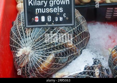 Moules en vente de Killary Bay. En vente au marché hebdomadaire du samedi à Galway, en Irlande. Banque D'Images