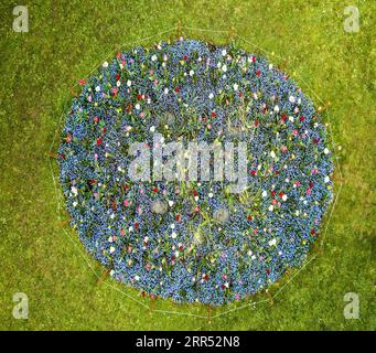 Vue aérienne de dessus sur le cercle coloré de parterre de fleurs dans le parc public Banque D'Images
