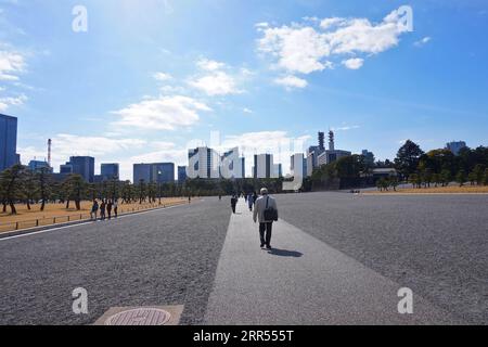 L'horizon de Yūrakuchō vu du jardin national Kokyo Gaien près du palais impérial de Tokyo dans la ville de Chiyoda, Tokyo, Japon – 19 février 2020 Banque D'Images