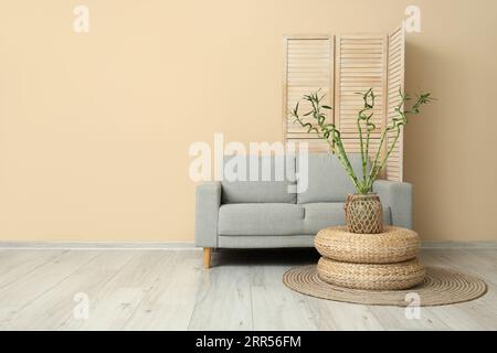 Intérieur élégant du salon avec des branches de bambou Banque D'Images