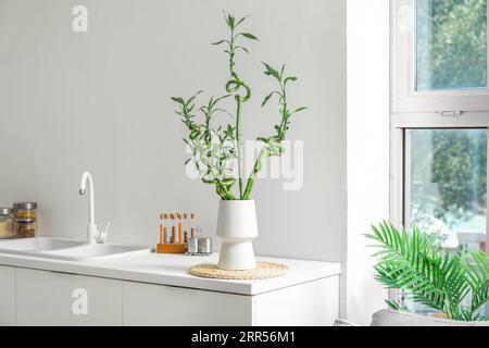 Vase avec tiges de bambou sur la table dans la cuisine Banque D'Images