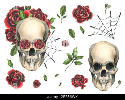 Crâne humain avec roses rouges et toiles d'araignée. Illustration aquarelle dessinée à la main pour le jour des morts, halloween, Dia de los muertos. Ensemble de isolé Banque D'Images