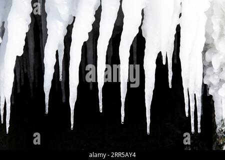 Pinacles de glace suspendus au brise-vagues. Heure d'hiver. Île de Hokkaido, Japon Banque D'Images