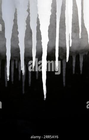 Pinacles de glace suspendus au brise-vagues. Heure d'hiver. Île de Hokkaido, Japon Banque D'Images