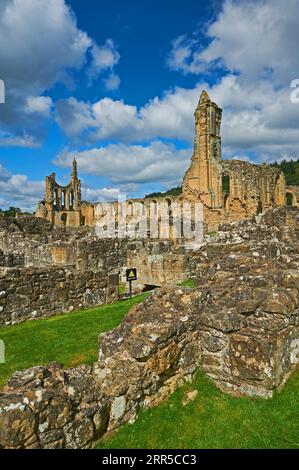 Ruines de l'abbaye de Byland, classée Grade 1 l'abbaye cistercienne de Rydale, dans le North Yorkshire, est une ruine historique dans le North Yorkshire Moors National Park Banque D'Images