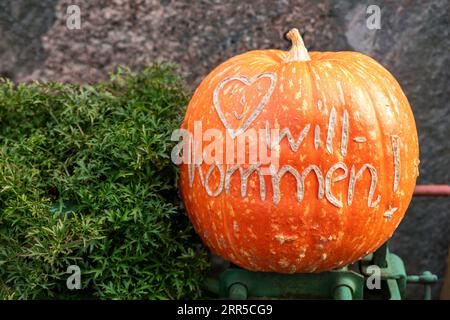 Grande citrouille orange mûre brillante avec le mot de texte Willkommen découpé à la cour de la ferme de citrouille allemande. Plante symbole de célébration de Thanksgiving d'Halloween. Pays Banque D'Images