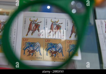 210106 -- PÉKIN, 6 janvier 2021 -- une photo prise le 5 janvier 2021 montre les timbres spéciaux nouvellement émis sur le thème de l'année du bœuf à Changchun, dans la province de Jilin, au nord-est de la Chine. PHOTOS XINHUA DU JOUR ZhangxNan PUBLICATIONxNOTxINxCHN Banque D'Images