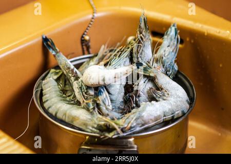 Crevettes royales congelées dans une casserole. Préparation de la cuisson. Banque D'Images