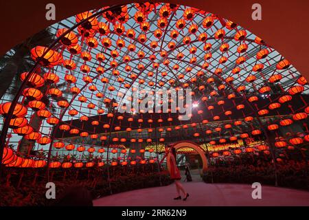 210123 -- BEIJING, le 23 janvier 2021 -- les gens visitent l'exposition florale Dahlia Dreams, dans le cadre des célébrations du nouvel an lunaire qui se sont tenues au Flower Dome des jardins de Singapour près de la baie le 22 janvier 2021. Photo de /Xinhua XINHUA PHOTOS DU JOUR ThenxChihxWey PUBLICATIONxNOTxINxCHN Banque D'Images