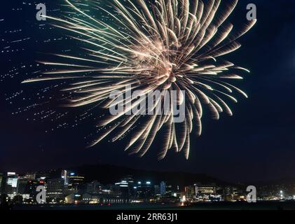 210124 -- WELLINGTON, le 24 janvier 2021 -- des feux d'artifice illuminent le ciel nocturne de Wellington, capitale de la Nouvelle-Zélande, le 24 janvier 2021, en commémoration du prochain anniversaire de Wellington, le 25 janvier. Le jour anniversaire de Wellington, un jour férié pour les personnes vivant dans la région de la capitale, est célébré le lundi le plus proche du 22 janvier de chaque année. La fête commémore l'arrivée du premier navire colon en Nouvelle-Zélande le 22 janvier 1840. NOUVELLE-ZÉLANDE-WELLINGTON JOUR ANNIVERSAIRE-FEU D'ARTIFICE GUOXLEI PUBLICATIONXNOTXINXCHN Banque D'Images