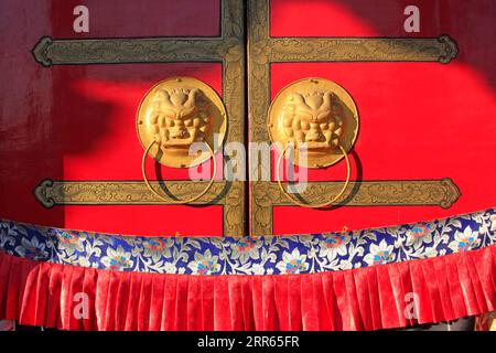 Anneaux de cuivre sur planche de porte dans un temple, gros plan de photo Banque D'Images