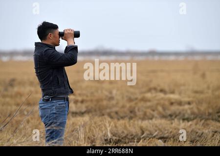 210131 -- NANCHANG, le 31 janvier 2021 -- Lei Xiaoyong utilise un télescope pour observer des grues à la ferme de Kangshan, dans le comté de Yugan, dans la province de Jiangxi, dans l'est de la Chine, le 30 janvier 2021. Lei Xiaoyong est chef de la station de protection des animaux sauvages et des plantes de l'administration forestière du comté de Yugan. L’une des tâches de Lei et de ses collègues est de protéger les oiseaux migrateurs du lac Poyang, le plus grand lac d’eau douce de Chine et un important lieu d’hivernage pour les oiseaux aquatiques en Asie. En cet hiver, un grand nombre de grues blanches se sont rendues à la ferme de Kangshan à Yugan pour hiverner, avec près de 3 000 grues à son apogée. Loca Banque D'Images