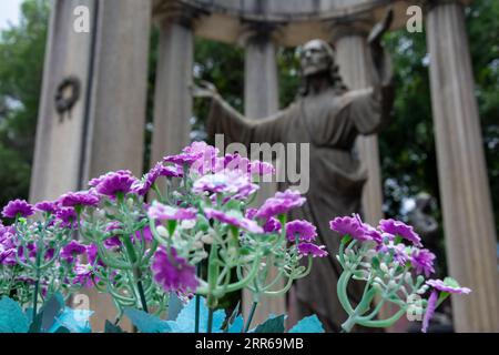 Salvador, Bahia, Brésil - 21 janvier 2015 : monuments historiques du cimetière Campo Santo, dans la ville de Salvador, Bahia. Banque D'Images
