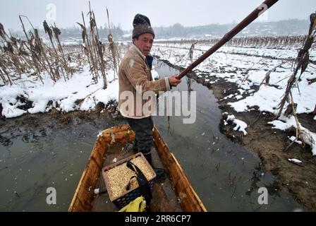 210206 -- GUIYANG, 6 février 2021 -- une photo prise le 10 janvier 2015 montre que Zang Erjun est décédé en mars 2017 en prenant un bateau pour disperser de la nourriture pour les oiseaux dans la réserve naturelle nationale de Caohai dans le comté autonome de Weining de Yi, hui et Miao, dans la province du Guizhou, au sud-ouest de la Chine. Établie en tant que réserve naturelle nationale en 1992, la réserve naturelle nationale de Caohai couvre une superficie de plus de 120 kilomètres carrés. Au cours des dernières années, plus de 60 personnes ont servi de gardes forestiers de la réserve, nourrissant les oiseaux, observant les activités des oiseaux et patrouillant dans la réserve. Jour après jour, le flambeau a été passé de là Banque D'Images