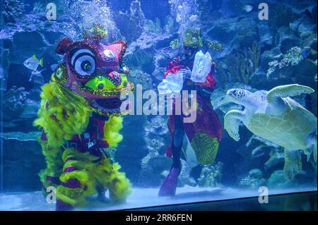 210212 -- KUALA LUMPUR, le 12 février 2021 -- divers dansent le lion sous l'eau pour célébrer le nouvel an chinois à l'aquarium Aquaria KLCC de Kuala Lumpur, Malaisie, le 12 février 2021. Un spectacle de danse du lion sous-marin est diffusé en direct au public les 12 et 13 février sur les réseaux sociaux pour célébrer le nouvel an chinois, alors que l’aquarium Aquaria KLCC est temporairement fermé en raison de l’ordre de contrôle des mouvements visant à freiner la propagation du COVID-19. Photo de /Xinhua MALAISIE-KUALA LUMPUR-CHINOIS NOUVEL AN-DANSE DU LION SOUS-MARINE ChongxVoonxChung PUBLICATIONxNOTxINxCHN Banque D'Images