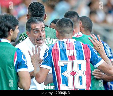 Salvador, Brésil. 06 septembre 2023. Salvador - BA : 06/09/2023 . L’entraîneur Renato Paiva démissionne de l’Esporte Clube Bahia, ce mercredi (6). Au total, il y a eu 51 matchs, avec 20 triomphes, 15 nuls et 16 défaites &#x2013 ; 49% de succès &#x2013;, en plus du titre de l'État en avril. Photo : Jhony Pinho crédit : AGIF/Alamy Live News Banque D'Images