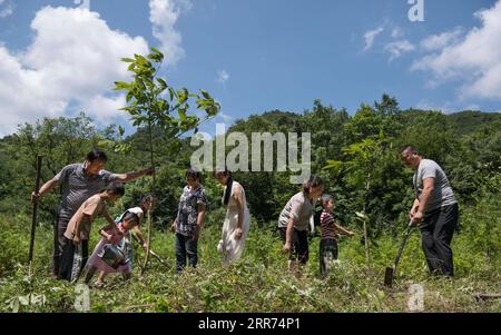 210312 -- PÉKIN, le 12 mars 2021 -- une photo prise le 13 juillet 2019 montre Yao Zuyuan 1st R et sa famille plantant des arbres dans le canton de Huoshaodian, ville de Hanzhong dans la province du Shaanxi, au nord-ouest de la Chine. Vendredi marque la Journée nationale de plantation d'arbres en Chine. Grâce aux efforts des bénévoles à travers le pays, les terres vertes ont couvert plus de régions de la Chine et le concept de développement écologique est ensemencé dans le cœur des gens. CHINA-ARBOR JOUR-ARBRE PLANTATION CN TAOXMING PUBLICATIONXNOTXINXCHN Banque D'Images