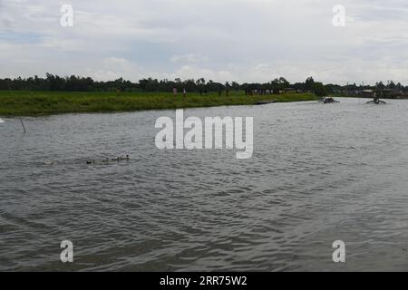 Kolkata, Inde. 06 septembre 2023. Traditionnel 8e festival annuel de course de bateaux dans les Sundarbans sur la rivière Thakuran (également appelé Jamira) dans les Sundarbans avec des milliers d'habitants acclamés à Betberia Ghola, à environ 50 km de distance de Kolkata. Où six bateaux de 60 pieds de long participant avec 9 bateliers chacun organisé par les villageois de Ramamari et Gobramari, Sud 24 Parganas, Bengale occidental. (Photo de Biswarup Ganguly/Pacific Press) crédit : Pacific Press Media production Corp./Alamy Live News Banque D'Images