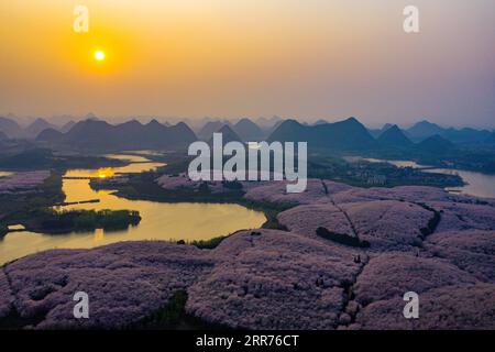 Actualités Bilder des Tages China, Kirschblüte in GUI, Guigang 210315 -- GUIYANG, 15 mars 2021 -- une photo aérienne prise le 15 mars 2021 montre le paysage de cerisiers en fleurs dans le nouveau district de GUI an, dans la province du Guizhou du sud-ouest de la Chine. CHINE-GUIZHOU-GUIYANG-CERISIERS EN FLEURS CN OUXDONGQU PUBLICATIONXNOTXINXCHN Banque D'Images