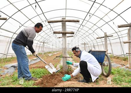 210318 -- XI AN, 18 mars 2021 -- Abdul Ghaffar Shar R apprend à planter des cerises dans une plantation de la zone de démonstration industrielle de haute technologie agricole de Yangling, dans la province du Shaanxi, au nord-ouest de la Chine, le 17 mars 2021. Abdul Ghaffar Shar, 30 ans, est un doctorant pakistanais à la Northwest Agriculture and Forestry University NWAFU de Chine. Shar fait de la recherche en nutrition végétale pour son doctorat. Après avoir obtenu son baccalauréat en agriculture de l Université d agriculture du Sindh au Pakistan en 2014, Shar a décidé de poursuivre ses études à l Université de Chine. Shar a appris à parler mandarin et nous Banque D'Images