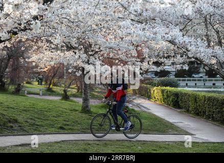 210325 -- ROME, le 25 mars 2021 -- un homme monte à vélo en passant devant des cerisiers à Rome, Italie, le 24 mars 2021. ITALIE-ROME-VIE QUOTIDIENNE-CERISIER EN FLEUR CHENGXTINGTING PUBLICATIONXNOTXINXCHN Banque D'Images