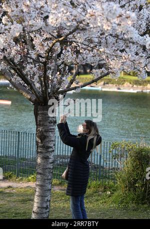 210325 -- ROME, le 25 mars 2021 -- Une femme portant un masque facial prend des photos de cerisiers en fleurs à Rome, en Italie, le 24 mars 2021. ITALIE-ROME-VIE QUOTIDIENNE-CERISIER EN FLEUR CHENGXTINGTING PUBLICATIONXNOTXINXCHN Banque D'Images