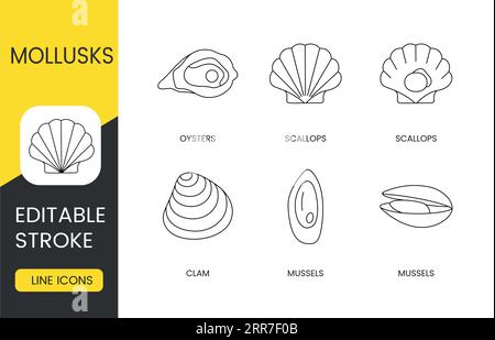 Mollusques définir des icônes de ligne dans le vecteur, fruits de mer modifiable trait. Moules et palourdes, pétoncles et huîtres. Illustration de Vecteur