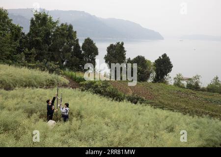 210412 -- ZHONGXIAN, le 12 avril 2021 -- des chercheurs maintiennent un équipement de surveillance à un point d'échantillonnage dans le comté de Zhongxian, au sud-ouest de la Chine, Chongqing, le 10 avril 2021. Le projet des trois Gorges est un vaste système multifonctionnel de contrôle de l eau sur le fleuve Yangtsé, la voie navigable la plus longue de Chine, avec un barrage de 2 309 mètres de long et 185 mètres de haut. Les niveaux d'eau de la zone du réservoir fluctuent inévitablement sur un cycle annuel de décharge-stockage entre 145 m et 175 m au barrage. La zone de fluctuation du niveau de l'eau rencontre également certains problèmes écoenvironnementaux, notamment l'érosion des sols et le polluant de source non ponctuelle Banque D'Images