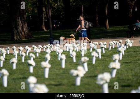 210414 -- WASHINGTON, le 14 avril 2021 -- les chiens marchant passent devant le National Mall où 40 000 fleurs de soie blanche sont installées pour honorer les près de 40 000 Américains qui meurent chaque année de violences par arme à feu à Washington, D.C., États-Unis, le 13 avril 2021. U.S.-WASHINGTON D.C.-GUN VIOLENCE-FLEURS EN SOIE LIUXJIE PUBLICATIONXNOTXINXCHN Banque D'Images