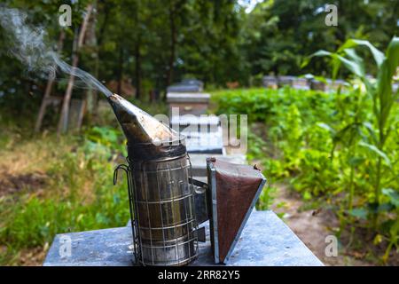 Photo de fond des outils apicoles. Vue rapprochée d'un fumeur d'abeilles sur la ruche dans un rucher. Banque D'Images
