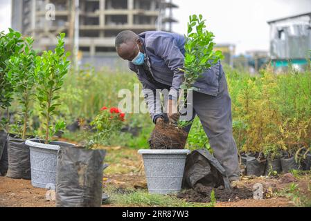 210423 -- ADDIS-ABEBA, 23 avril 2021 -- Mekbib Megersa, diplômée en études et en construction, s'engage dans des travaux de jardinage et d'aménagement paysager qui impliquent la production de masse de semis de plantes dans des serres de fortune et des pépinières dans les rues d'Addis-Abeba, Éthiopie, le 22 avril 2021. Alors que l’Éthiopie s’apprête à réaliser son aspiration à construire une économie verte, la jeunesse éthiopienne désespérée à la recherche d’un emploi a embrassé l’effort commercial autrefois négligé de plantation d’arbres et de jardinage. La production de semis de plantes et le jardinage, tout comme un travail agricole typique, avaient longtemps été laissés aux Ethiopiens pauvres et ruraux, m Banque D'Images