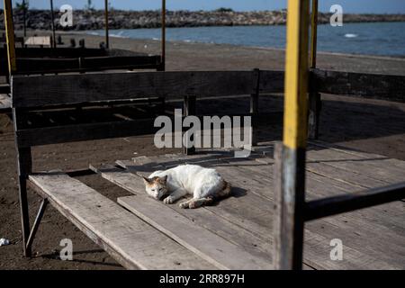 210425 -- RAMSAR IRAN, le 25 avril 2021 -- Un chat est vu sur une plage déserte de la mer Caspienne à Ramsar, Iran, le 25 avril 2021. Dimanche, le ministère iranien de la Santé a signalé 19 165 nouveaux cas de COVID-19, portant le nombre total d infections du pays à 2 396 204. Photo de /Xinhua IRAN-RAMSAR-COVID-19-CAS AhmadxHalabisaz PUBLICATIONxNOTxINxCHN Banque D'Images