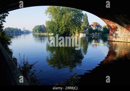 Les rameurs voyagent le long de la Tamise près de Maidenhead, dans le Berkshire, alors que les prévisionnistes prédisent une « dernière dose de l'été », avec des vagues de chaleur atteignant 32C jeudi dans le centre et le sud de l'Angleterre. Date de la photo : jeudi 7 septembre 2023. Banque D'Images