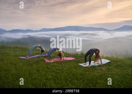 Groupe de trois femmes sportives en vêtements actifs faisant des exercices d'étirement parmi les montagnes d'été. Les femmes de fitness s'entraînent ensemble à l'air frais. Banque D'Images