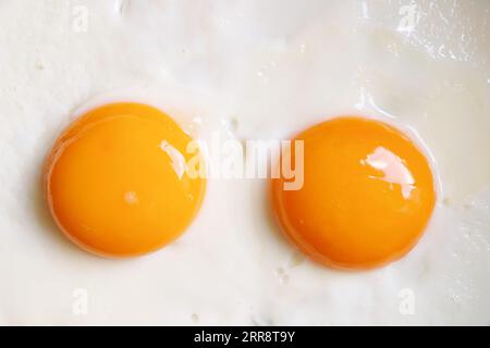 Sunny Side Up Eggs, pour un concept de bonne source de protéines de haute qualité Banque D'Images