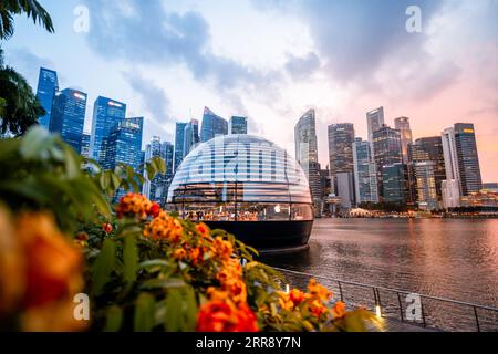 Singapour, 14 août 2023 ; Apple Store flottant dans le quartier central des affaires avec ciel couché du soleil et fleurs au premier plan, dôme Apple Store Banque D'Images