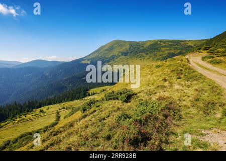 crête de montagne verte en été. pentes boisées abruptes et collines herbeuses. route de campagne en montée. beau temps ensoleillé Banque D'Images