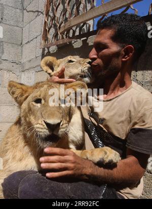 210525 -- GAZA, le 25 mai 2021 -- Un palestinien joue avec des petits lions de compagnie sur le toit d'une maison dans la ville de Khan Younis, dans le sud de la bande de Gaza, le 24 mai 2021. Photo de /Xinhua PALESTINE-KHAN YOUNIS-LION CUBS KhaledxOmar PUBLICATIONxNOTxINxCHN Banque D'Images