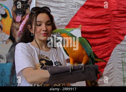 210602 -- GAZA, le 2 juin 2021 -- Une fille palestinienne regarde un perroquet lors d'une exposition pour animaux de compagnie dans la ville de Gaza, le 2 juin 2021. Photo de /Xinhua MIDEAST-GAZA CITY-ANIMAUX-EXHIBITION RizekxAbdeljawad PUBLICATIONxNOTxINxCHN Banque D'Images